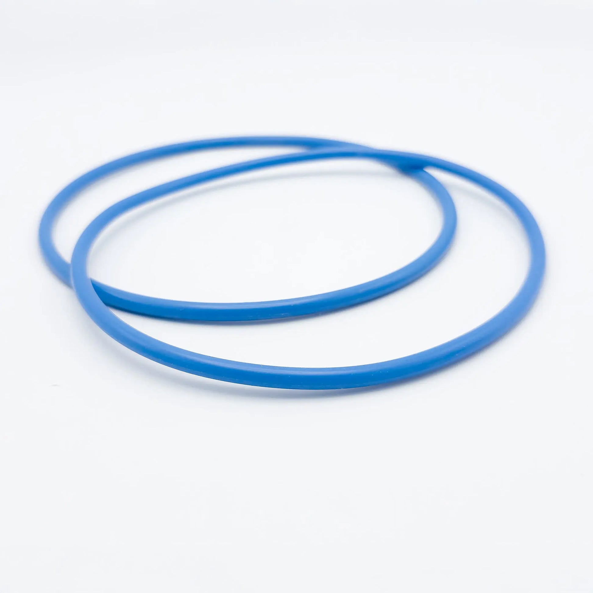 Blue O-Ring Replacements for 4 1/2 inch Big Blue water filtration systems - set of two