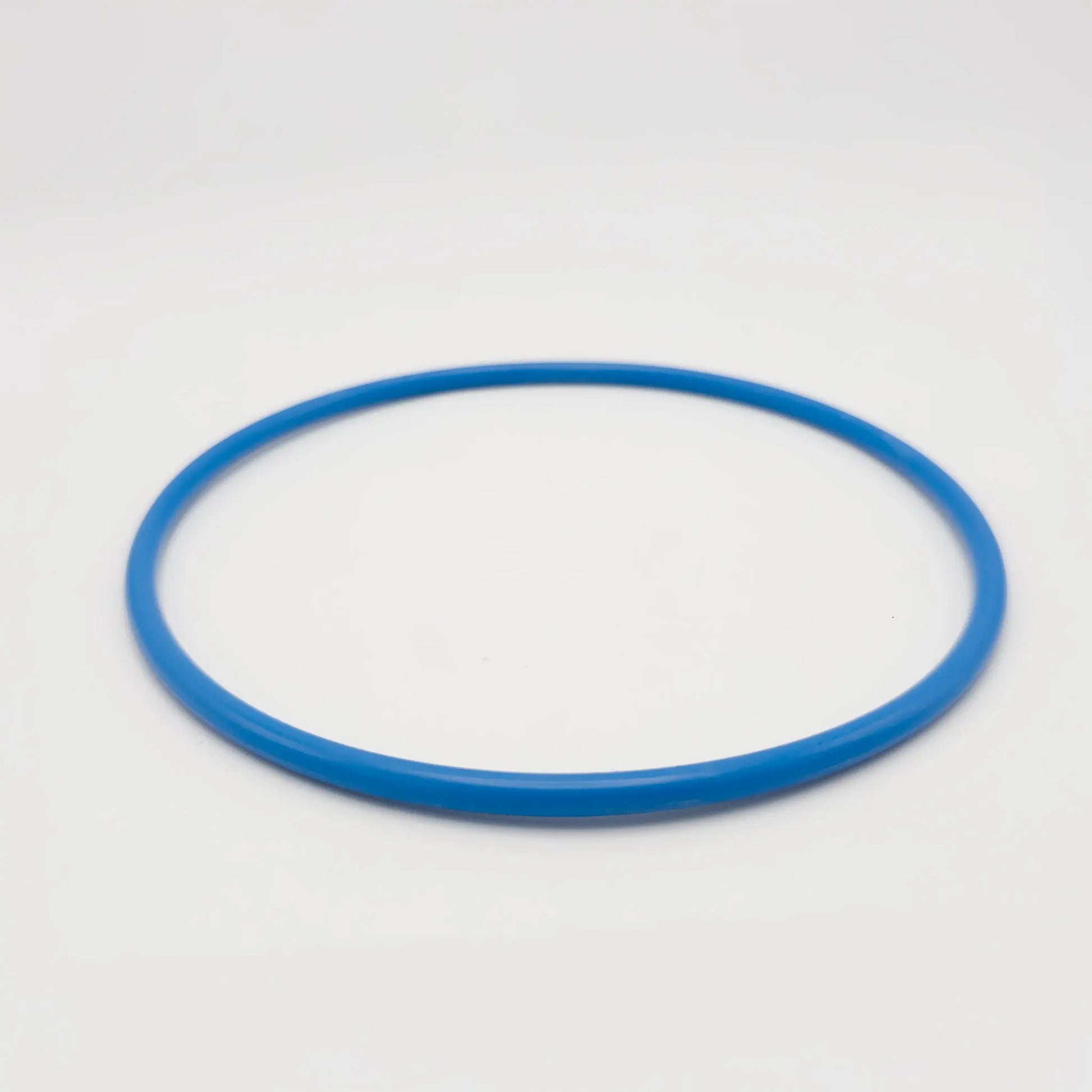 Blue O-Ring Replacement for 4 1/2 inch Big Blue water filtration systems