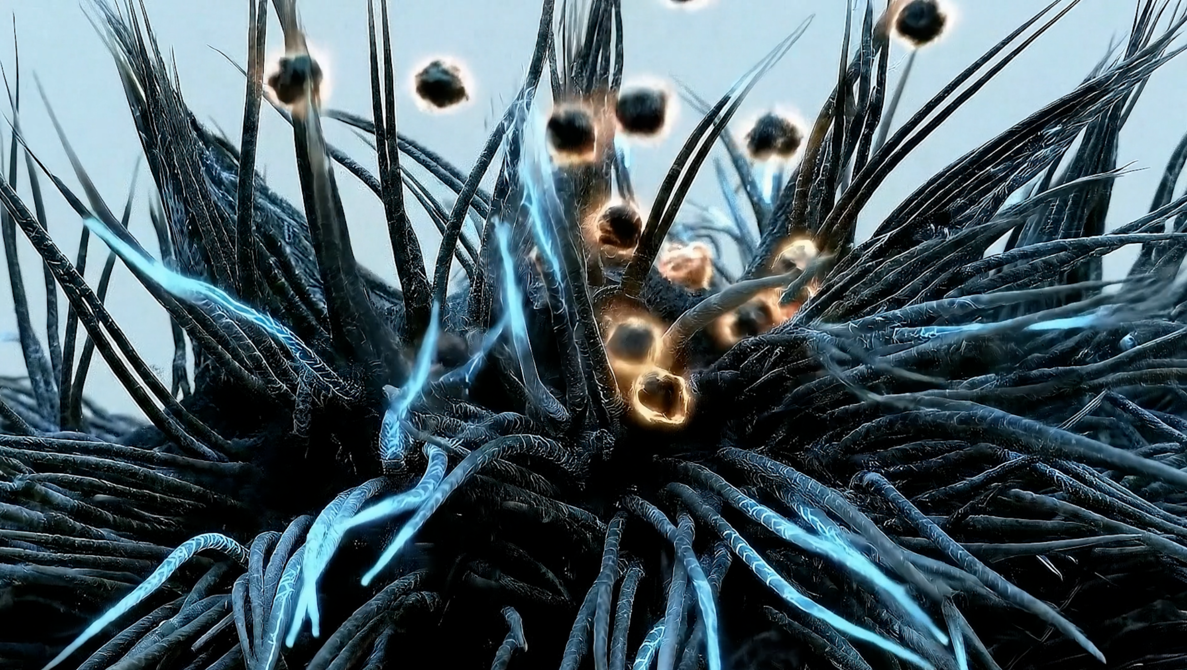 100+ micron scale of nanofibers and contaminants